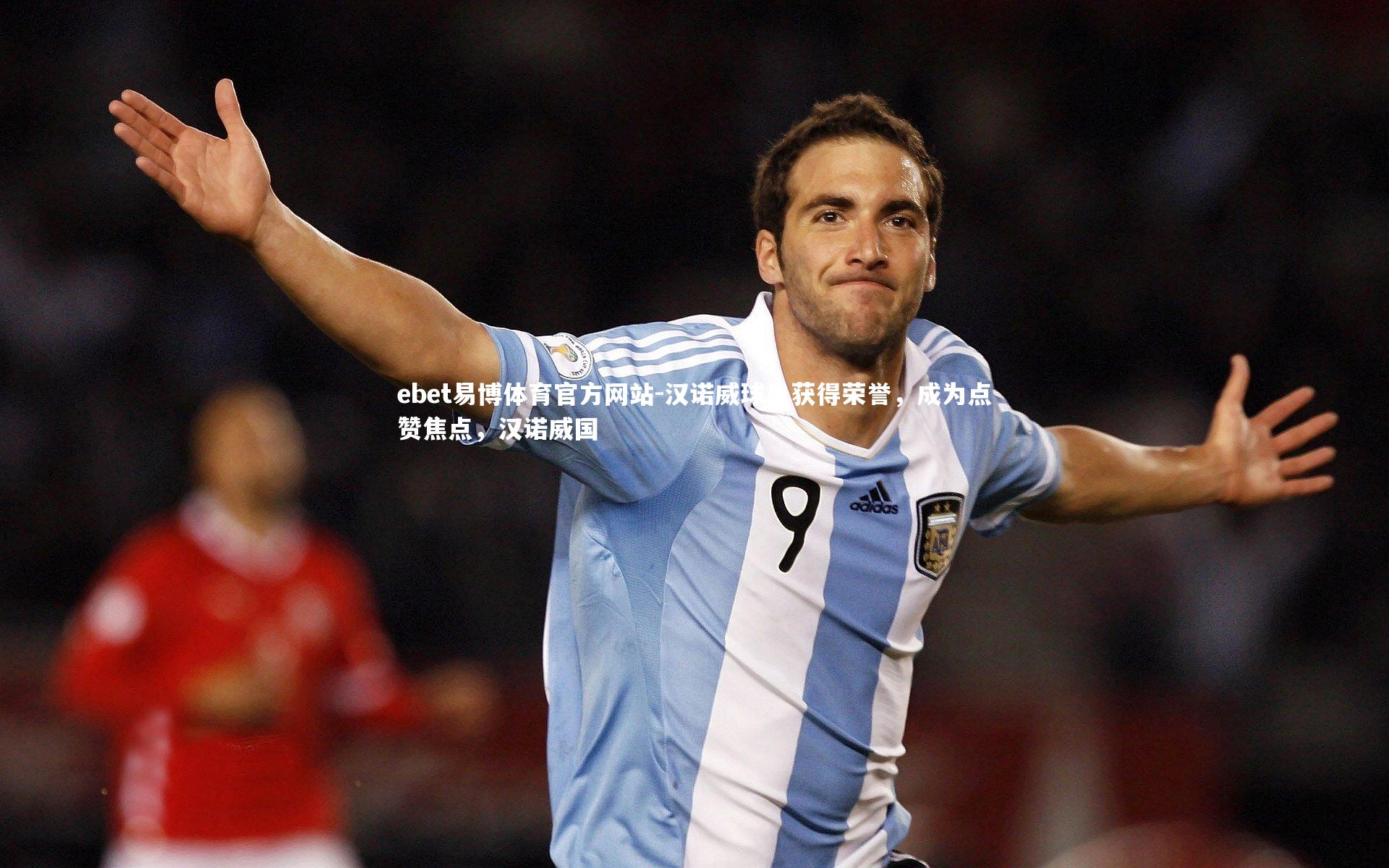 汉诺威球员获得荣誉，成为点赞焦点，汉诺威国