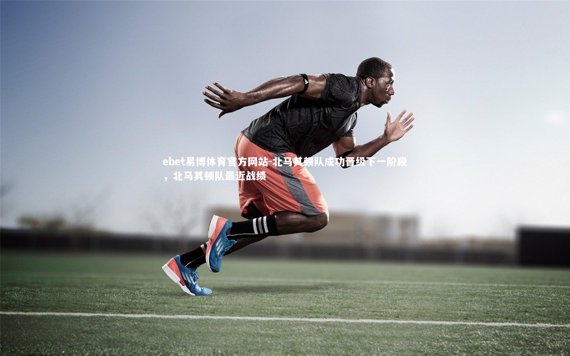 北马其顿队成功晋级下一阶段，北马其顿队最近战绩